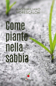 Come piante nella sabbia - Librerie.coop