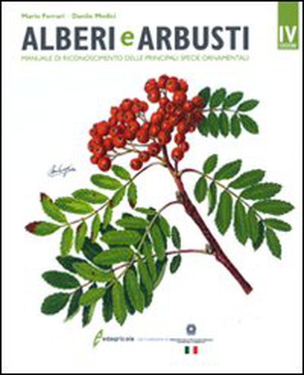 Alberi e arbusti. Manuale di riconoscimento delle principali specie ornamentali - Librerie.coop Alberi e arbusti. Manuale di riconoscimento delle principali specie ornamentali - Librerie.coop