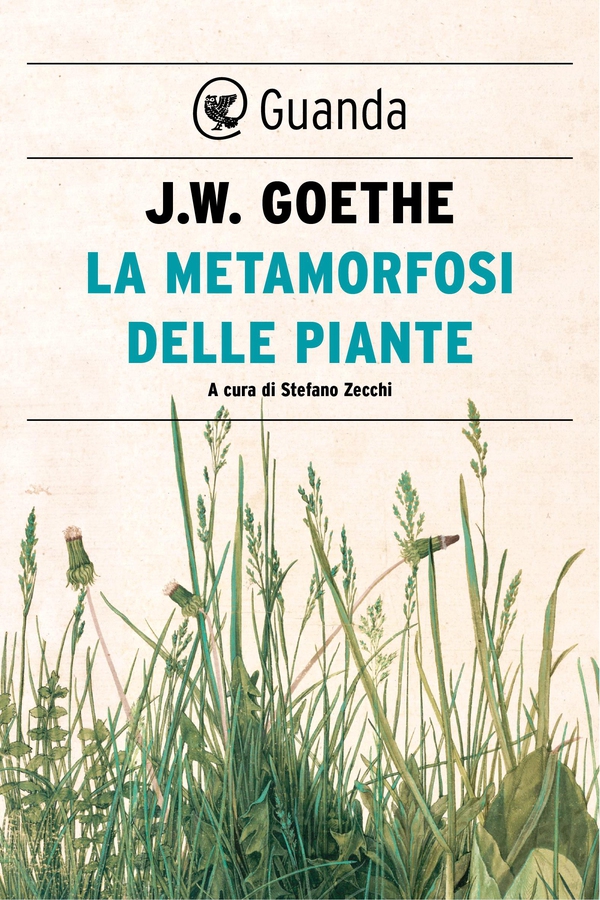 La metamorfosi delle piante - Librerie.coop La metamorfosi delle piante - Librerie.coop
