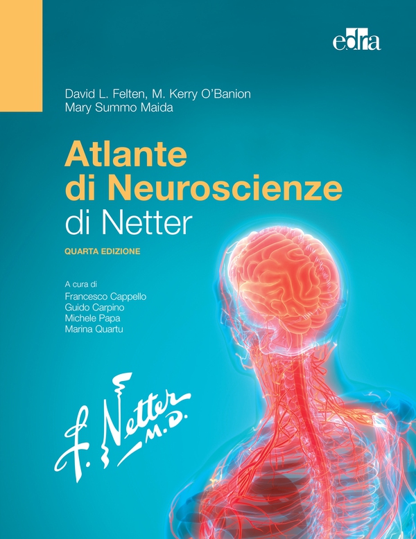 Atlante di Neuroscienze di Netter - Librerie.coop Atlante di Neuroscienze di Netter - Librerie.coop