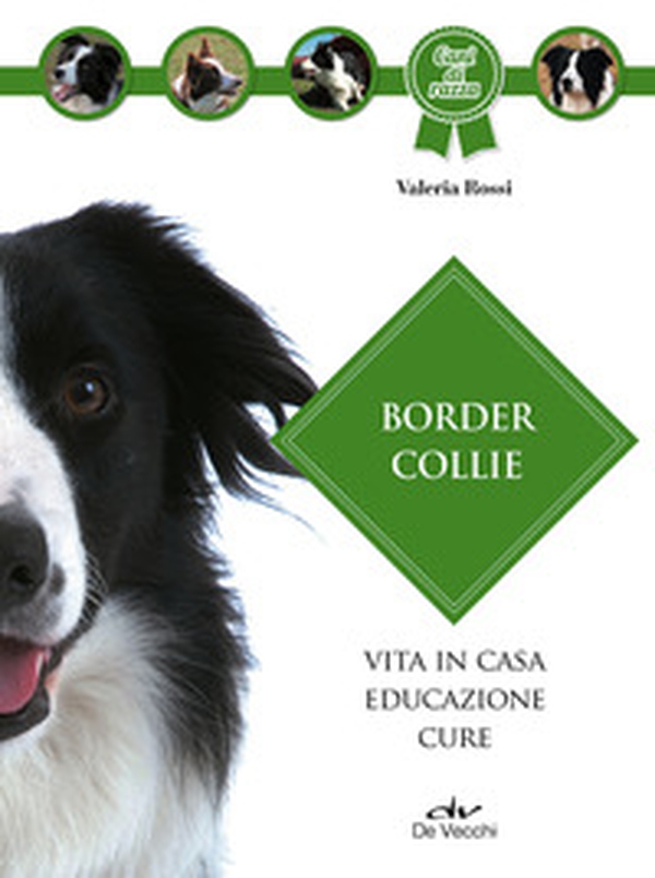 Border collie - Librerie.coop Border collie - Librerie.coop