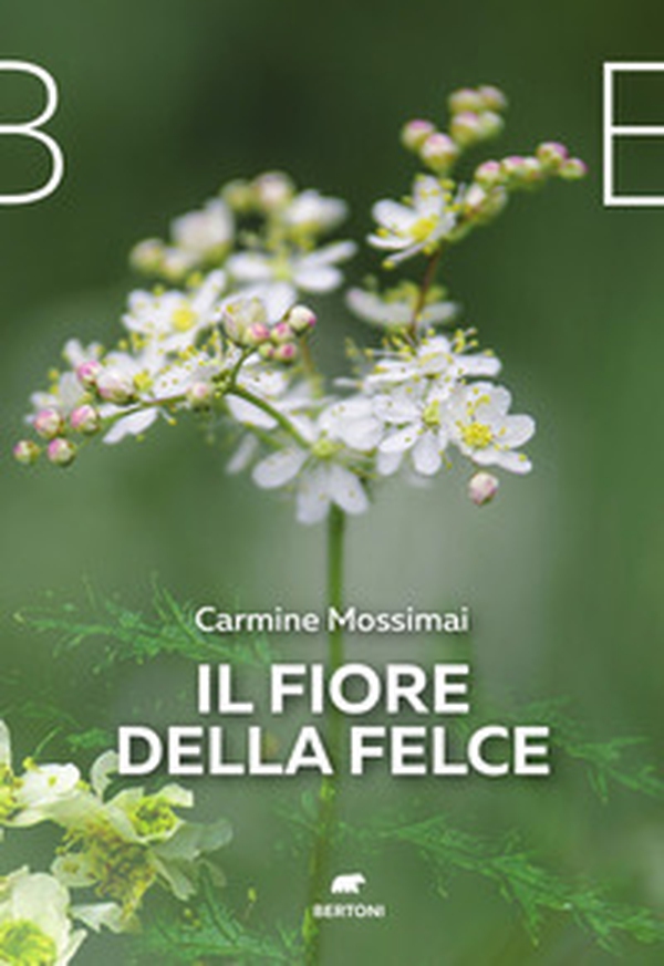 Il fiore della felce - Librerie.coop Il fiore della felce - Librerie.coop