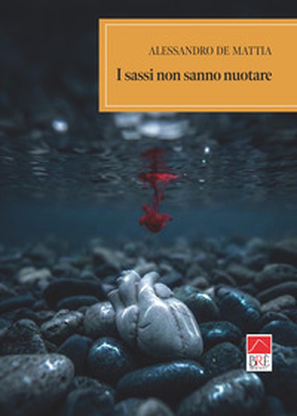 I sassi non sanno nuotare - Librerie.coop