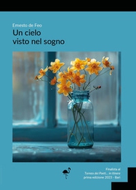 Un cielo visto nel sogno - Librerie.coop