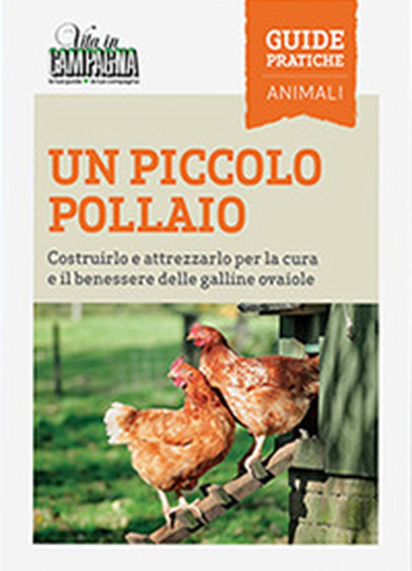 Un piccolo pollaio. Costruirlo e attrezzarlo per la cura e il benessere delle galline ovaiole - Librerie.coop Un piccolo pollaio. Costruirlo e attrezzarlo per la cura e il benessere delle galline ovaiole - Librerie.coop
