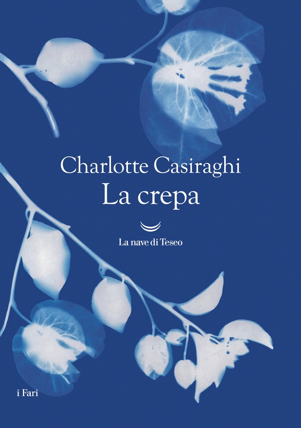 La crepa - Librerie.coop