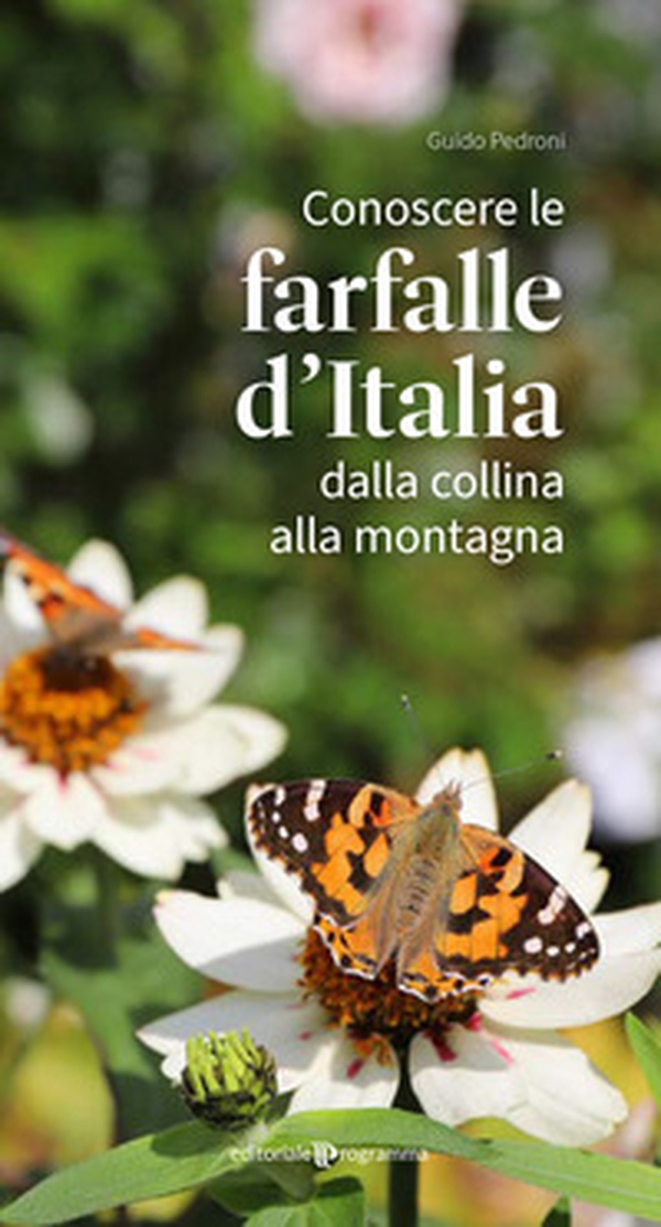 Conoscere le farfalle d'Italia dalla collina alla montagna - Librerie.coop Conoscere le farfalle d'Italia dalla collina alla montagna - Librerie.coop