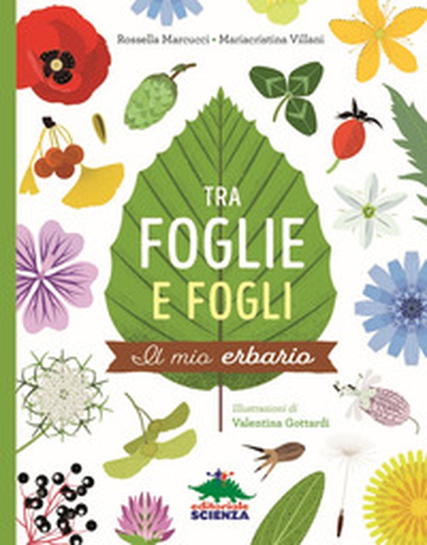 Tra foglie e fogli. Il mio erbario - Librerie.coop Tra foglie e fogli. Il mio erbario - Librerie.coop
