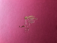 The shape of self. Trans identity in West Bengal. Ediz. italiana e inglese - Librerie.coop