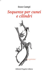 Sequenze per cunei e cilindri - Librerie.coop