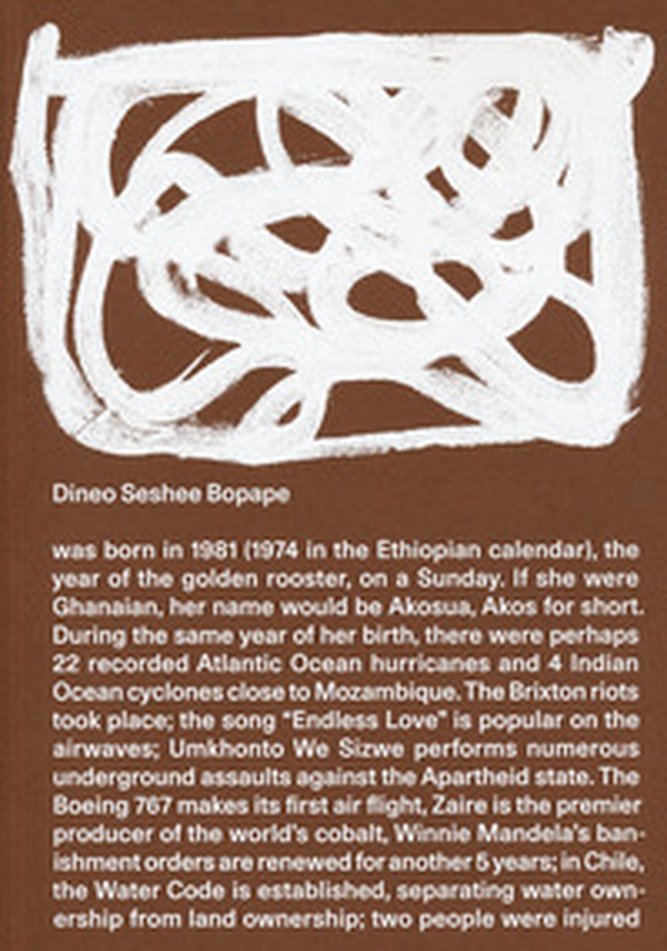 Dineo Seshee Bopape - Librerie.coop Dineo Seshee Bopape - Librerie.coop