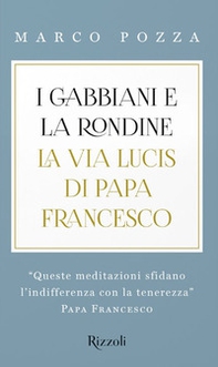 I gabbiani e la rondine. La Via Lucis di papa Francesco - Librerie.coop