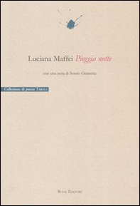 Pioggia notte - Librerie.coop