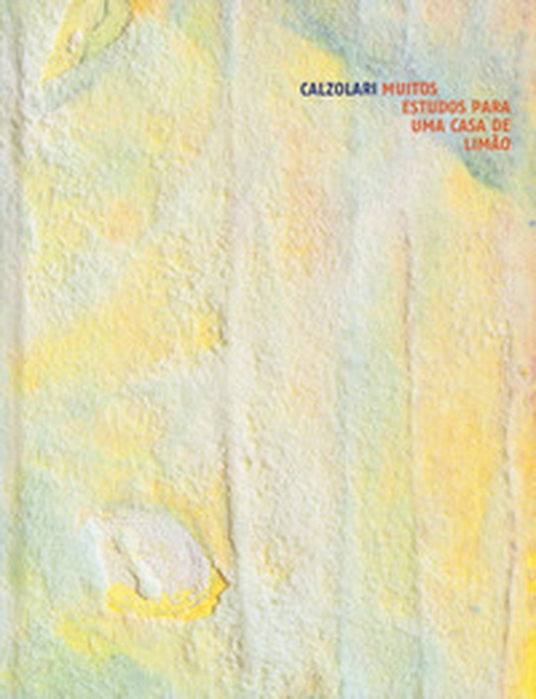 Pier Paolo Calzolari. Muitos estudos para uma casa de limão. Catalogo della mostra (Londra, 1-25 ottobre 2019; Düsseldorf, 17 gennaio-29 febbraio 2020). Ediz. italiana e inglese - Librerie.coop Pier Paolo Calzolari. Muitos estudos para uma casa de limão. Catalogo della mostra (Londra, 1-25 ottobre 2019; Düsseldorf, 17 gennaio-29 febbraio 2020). Ediz. italiana e inglese - Librerie.coop