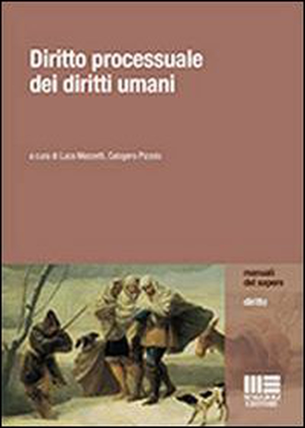 Diritto processuale dei diritti umani - Librerie.coop Diritto processuale dei diritti umani - Librerie.coop