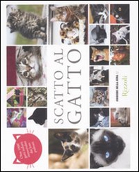 Scatto al gatto. Oltre 1000 gatti italiani immortalati dai loro padroni - Librerie.coop