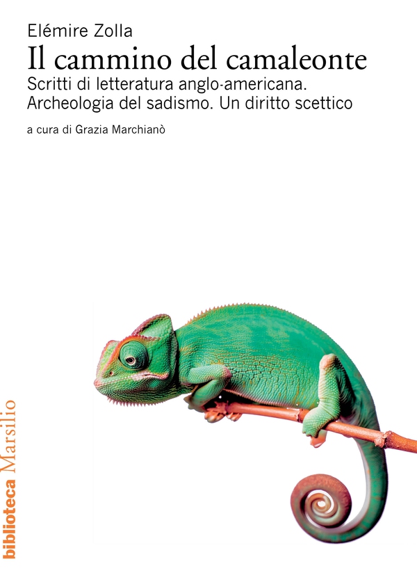 Il cammino del camaleonte - Librerie.coop Il cammino del camaleonte - Librerie.coop