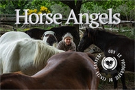 Horse Angels - Librerie.coop