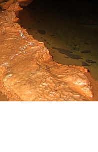 Parole in Libertà - Librerie.coop