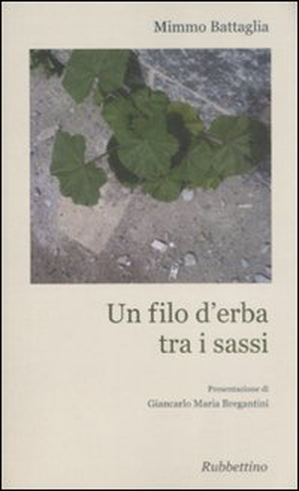 Un filo d'erba tra i sassi - Librerie.coop Un filo d'erba tra i sassi - Librerie.coop