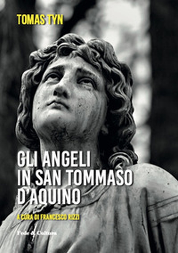 Gli angeli di San Tommaso d'Aquino - Librerie.coop Gli angeli di San Tommaso d'Aquino - Librerie.coop