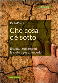 Che cosa c'è sotto. Il suolo, i suoi segreti, le ragioni per difenderlo - Librerie.coop