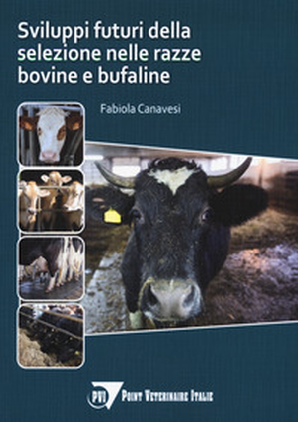 Sviluppi della selezione nelle razze bovine e bufaline - Librerie.coop Sviluppi della selezione nelle razze bovine e bufaline - Librerie.coop