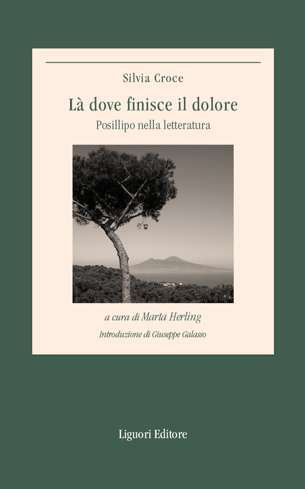 Là dove finisce il dolore - Librerie.coop Là dove finisce il dolore - Librerie.coop