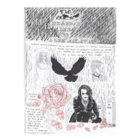 The crow - Librerie.coop