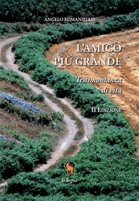 L'amico più grande. Testimonianza di vita - Librerie.coop