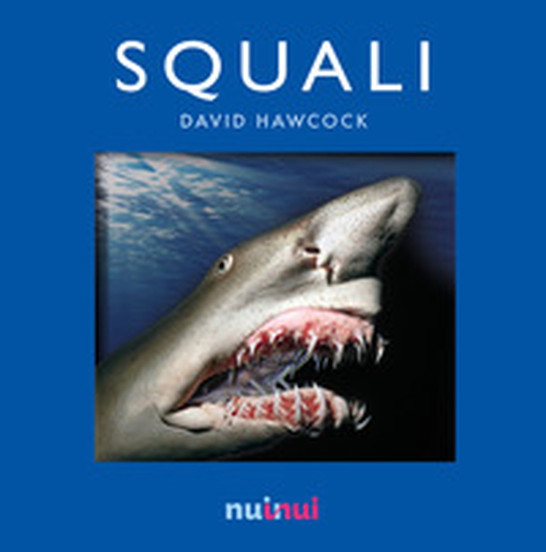 Squali. Libro pop-up - Librerie.coop Squali. Libro pop-up - Librerie.coop