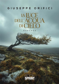 La luce dell'acqua di cielo - Librerie.coop