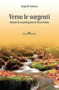 Verso le sorgenti. Diario di un pellegrino in Terra Santa - Librerie.coop