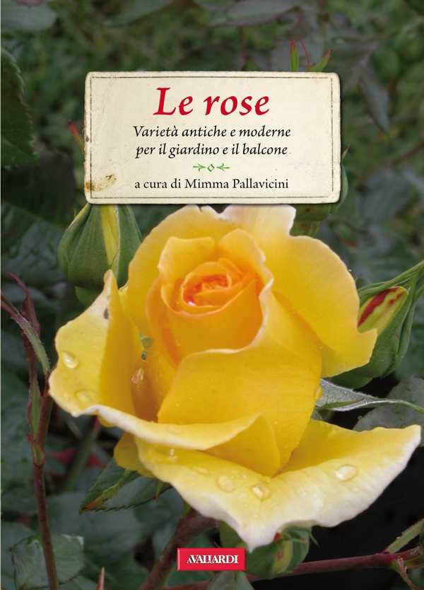 Le rose - Librerie.coop Le rose - Librerie.coop