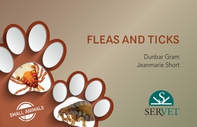 Fleas and ticks in small animals - Librerie.coop