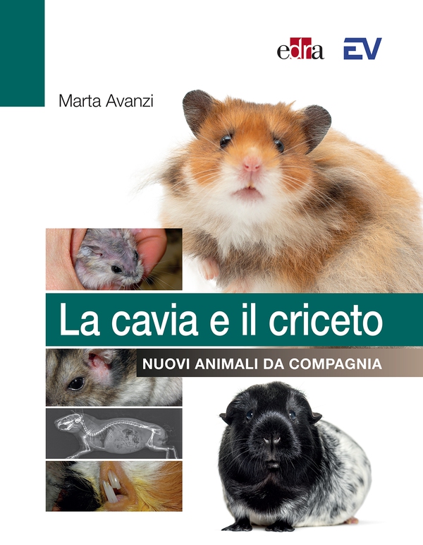 La cavia e il criceto - Librerie.coop La cavia e il criceto - Librerie.coop