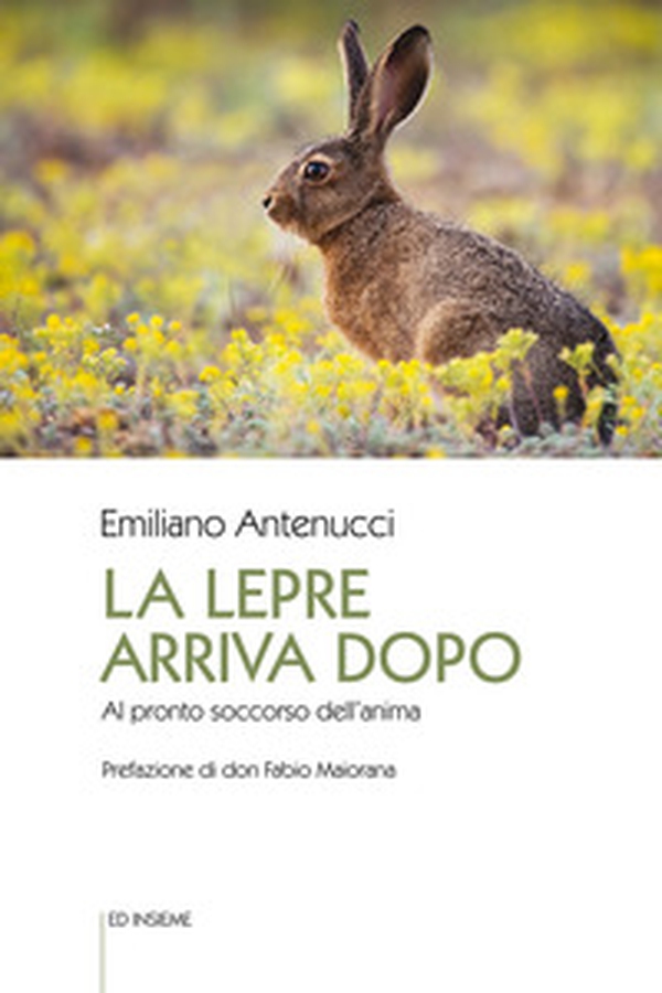 La lepre arriva dopo. Al pronto soccorso dell'anima - Librerie.coop La lepre arriva dopo. Al pronto soccorso dell'anima - Librerie.coop