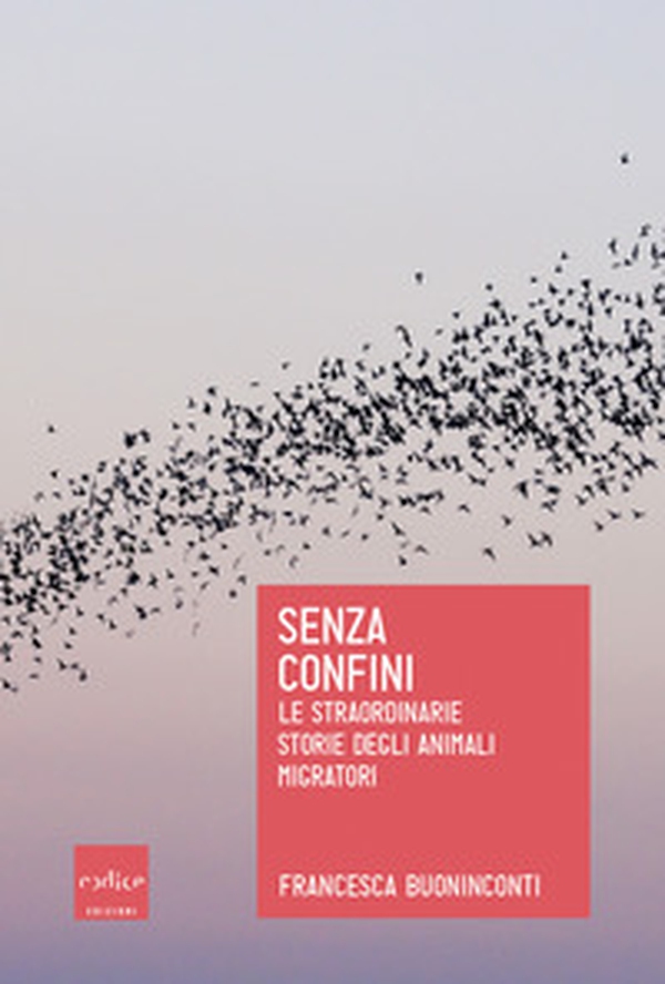 Senza confini. Le straordinarie storie degli animali migratori - Librerie.coop Senza confini. Le straordinarie storie degli animali migratori - Librerie.coop