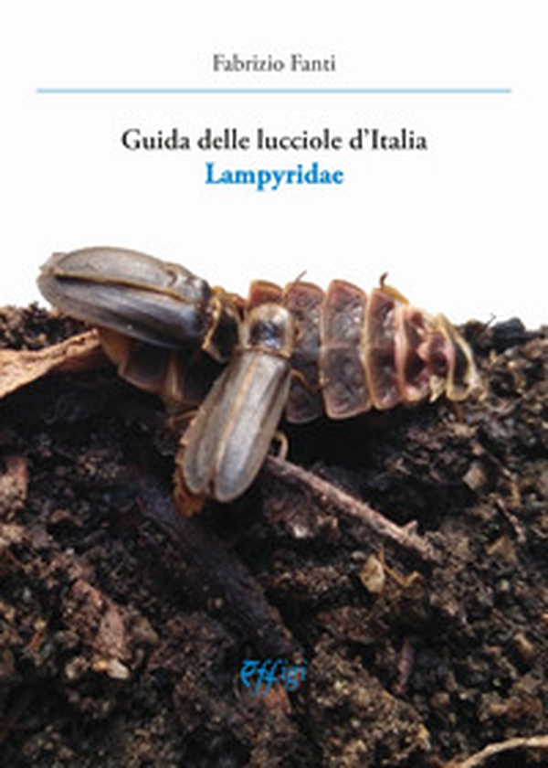 Guida delle lucciole d'Italia lampyridae - Librerie.coop Guida delle lucciole d'Italia lampyridae - Librerie.coop