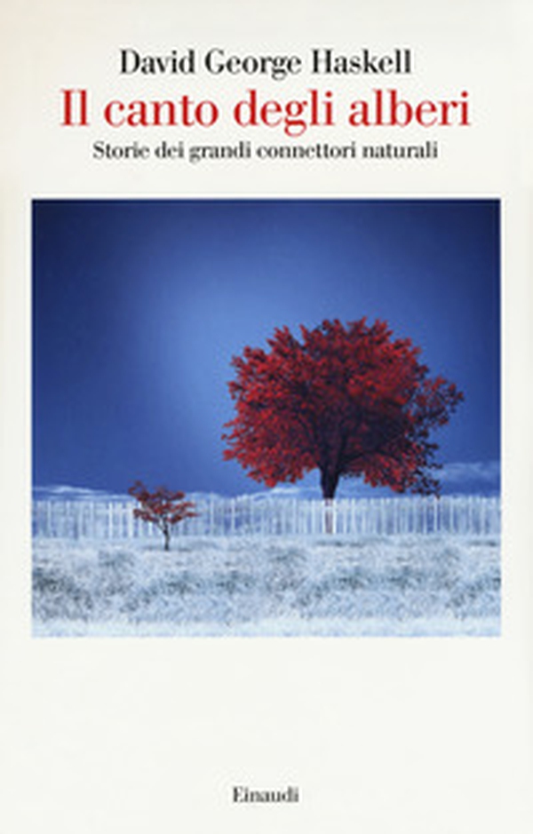 Il canto degli alberi. Storie di grandi connettori naturali - Librerie.coop Il canto degli alberi. Storie di grandi connettori naturali - Librerie.coop