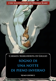 Sogno di una notte di pieno inverno - Librerie.coop