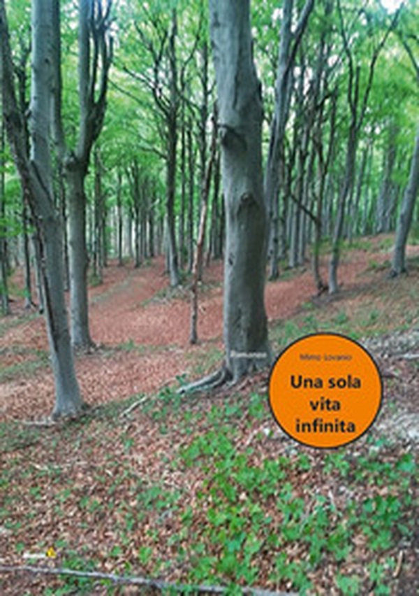 Una sola vita infinita - Librerie.coop Una sola vita infinita - Librerie.coop