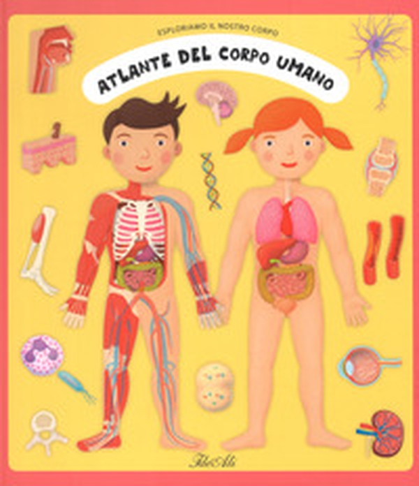 Atlante del corpo umano. Esploriamo il nostro corpo - Librerie.coop Atlante del corpo umano. Esploriamo il nostro corpo - Librerie.coop