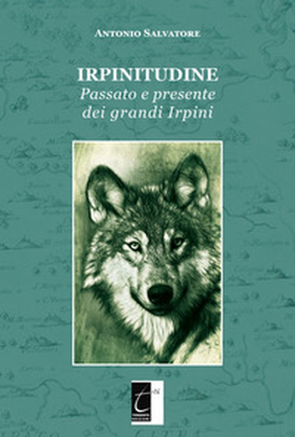 Irpinitudine. Passato e presente dei grandi irpini - Librerie.coop Irpinitudine. Passato e presente dei grandi irpini - Librerie.coop