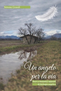 Un angelo per la via. Brevi e fantastici appunti di biologia angelica - Librerie.coop