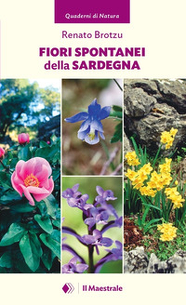 Fiori spontanei della Sardegna - Librerie.coop Fiori spontanei della Sardegna - Librerie.coop