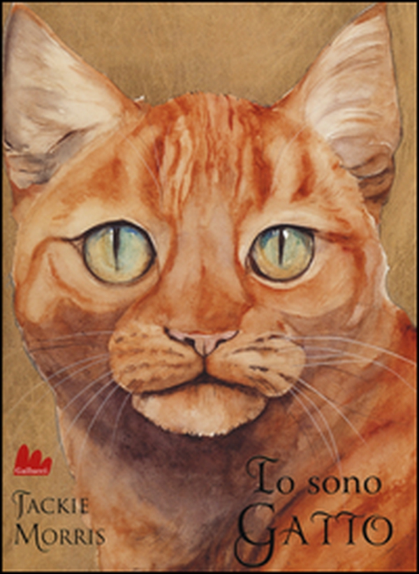 Io sono gatto - Librerie.coop Io sono gatto - Librerie.coop