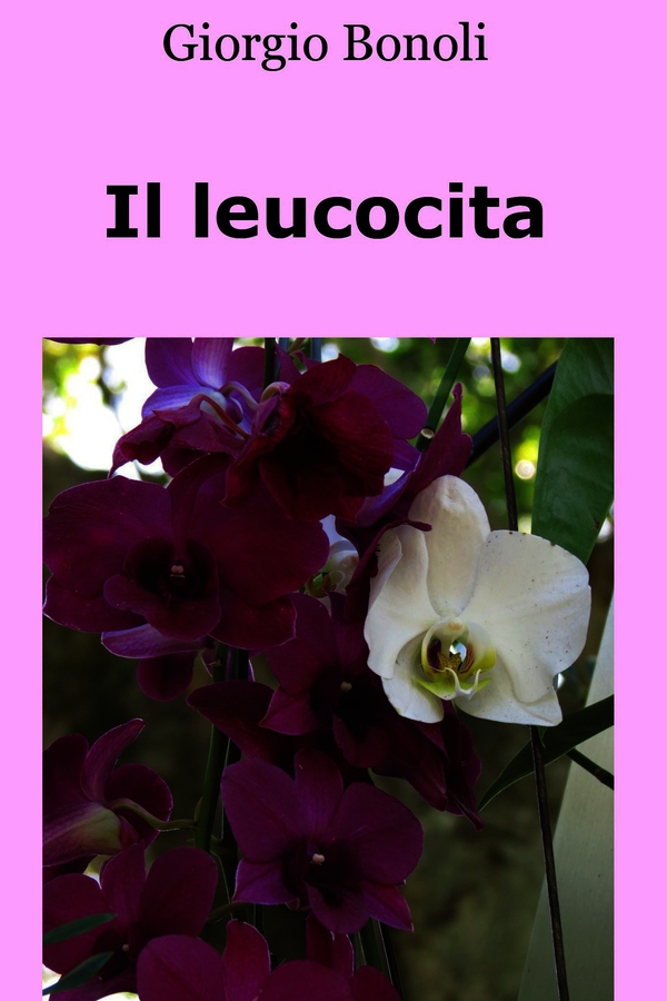Il leucocita - Librerie.coop Il leucocita - Librerie.coop