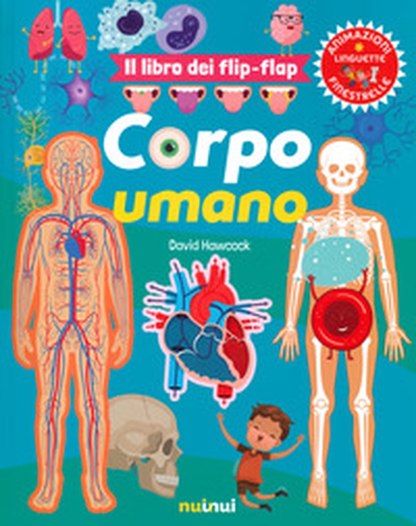 Corpo umano. Il libro dei flip-flap - Librerie.coop Corpo umano. Il libro dei flip-flap - Librerie.coop