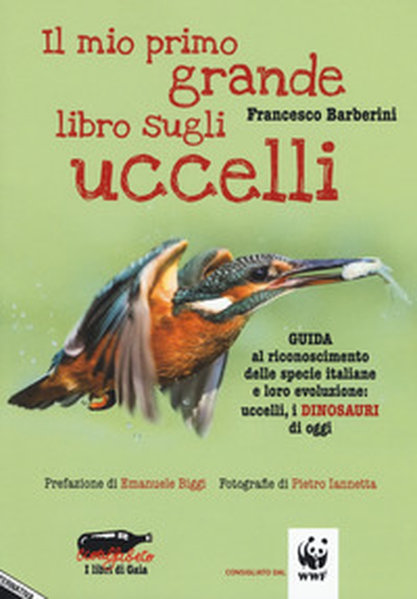 Il mio primo grande libro sugli uccelli. Guida al riconoscimento delle specie italiane e loro evoluzione: uccelli, i dinosauri di oggi - Librerie.coop Il mio primo grande libro sugli uccelli. Guida al riconoscimento delle specie italiane e loro evoluzione: uccelli, i dinosauri di oggi - Librerie.coop